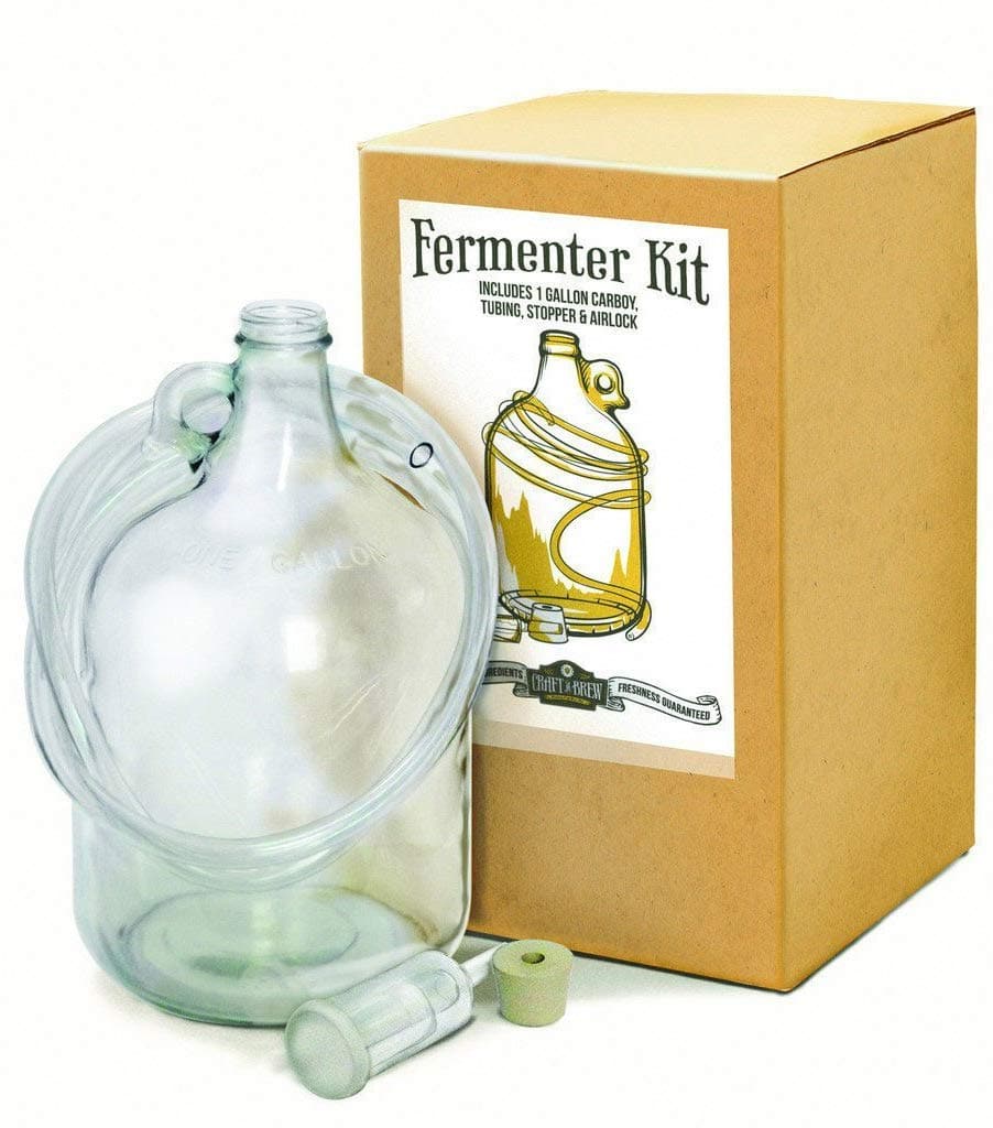 1 Gallon Homebrew Starter Fermenter Kit with Glass Carboy, Tubing, Rubber Stopper + Airlock