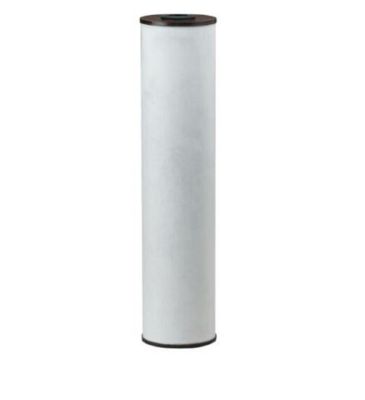 Everpure® - 155263-43 - RFFE20-BB Radial-Flow Iron Reduction Filter