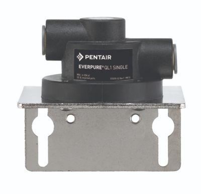 Everpure® - EV925617 - QL Head