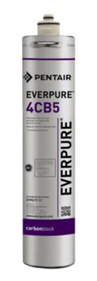 Everpure® - 9617-16 - 4CB5 Replacement Cartridge 1 pack