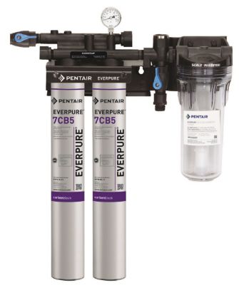 Everpure® - 9797-22 - Kleensteam II Twin Filter System