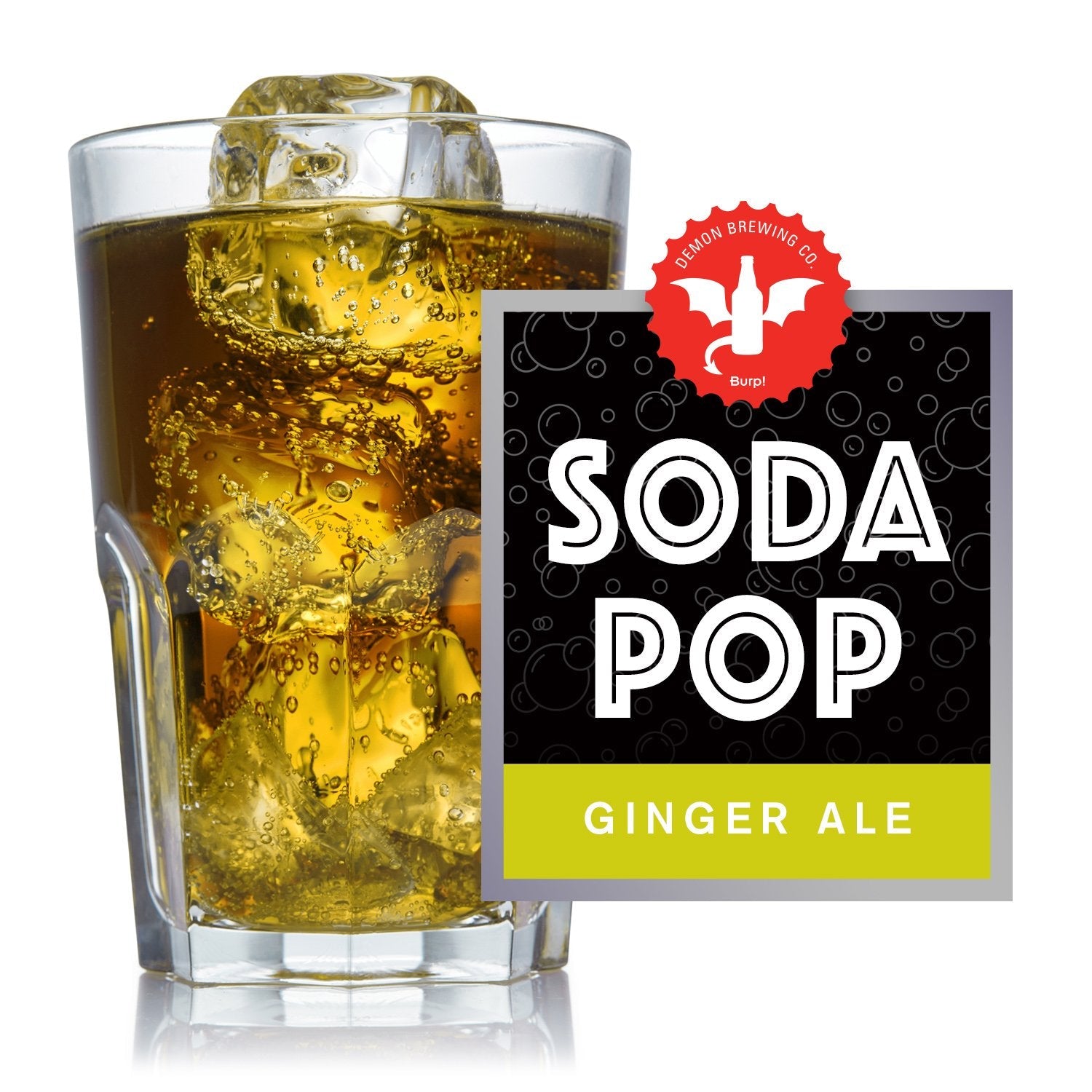 Ginger Ale Soda Pop Make at Home Recipe Kit