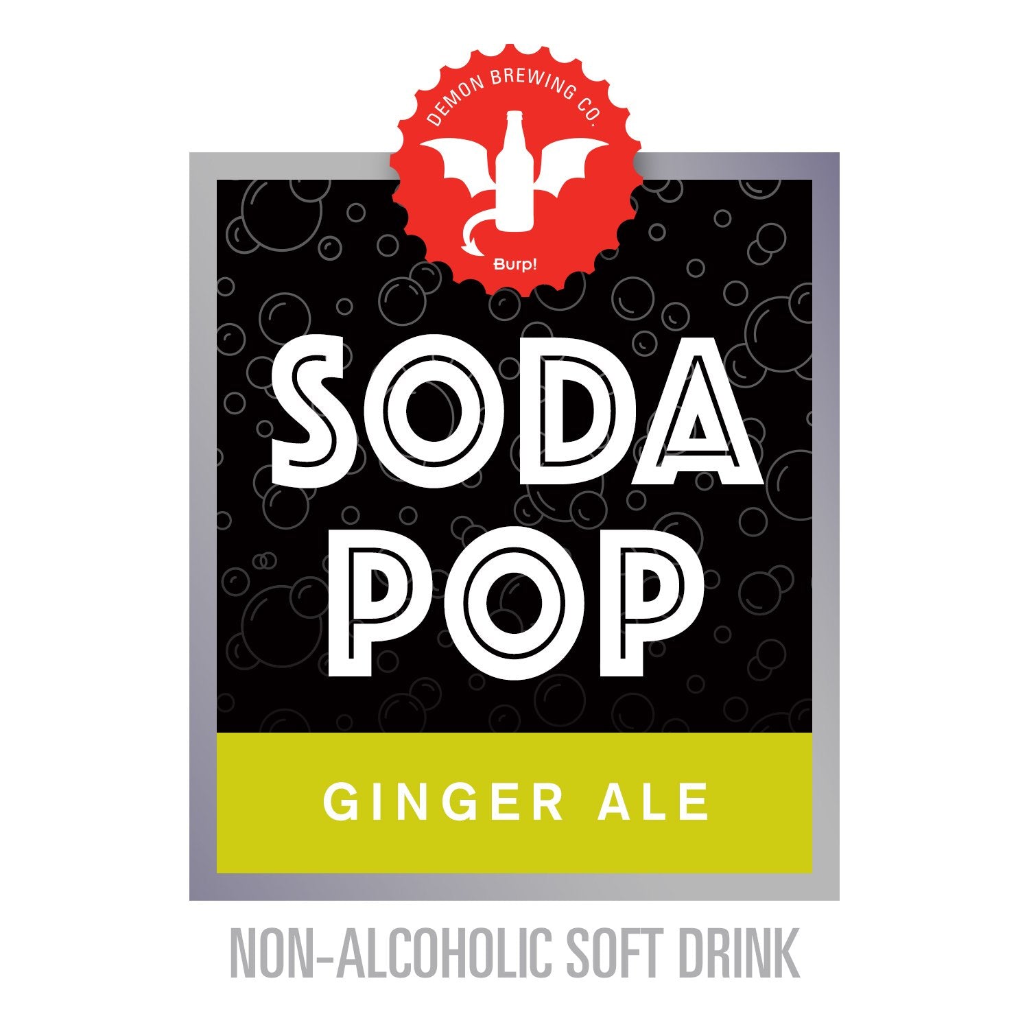 Ginger Ale Soda Pop Make at Home Recipe Kit