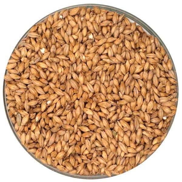 MaltEurop American 2-Row Pale Brewers Malt - 1 LB US-Grown Base Malt for Brewing